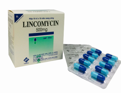 LINCOMYCIN 500mg 