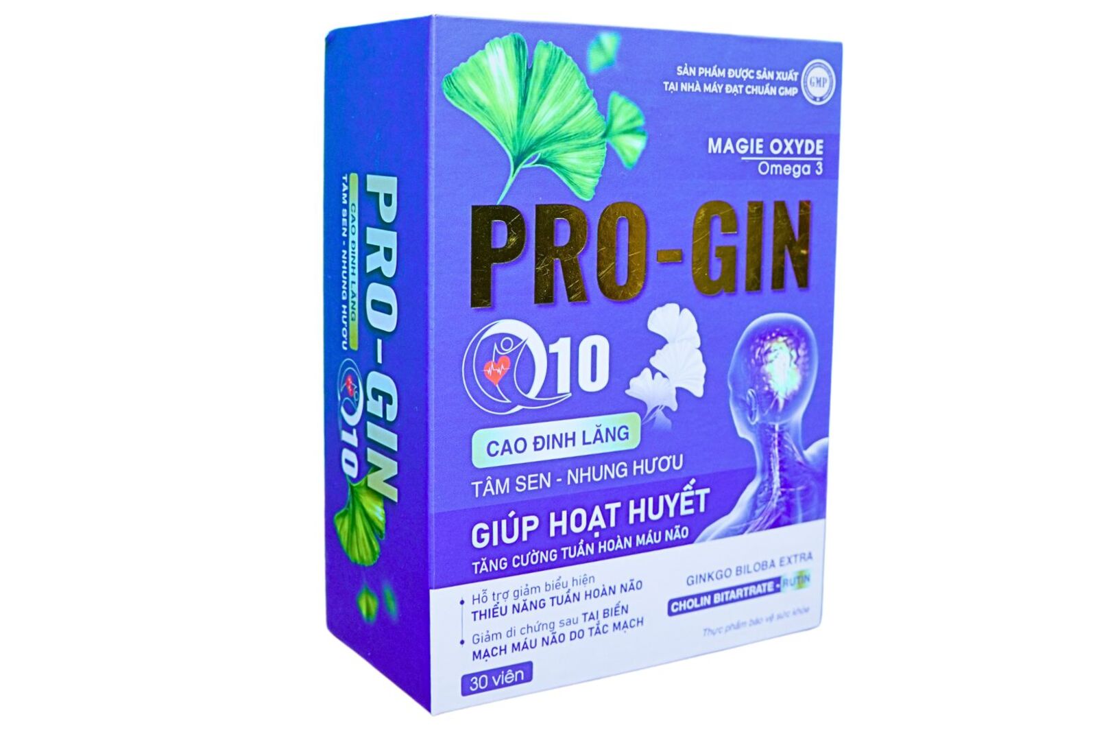 PROGIN Q10